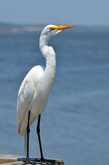 340711