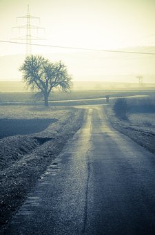 31830
