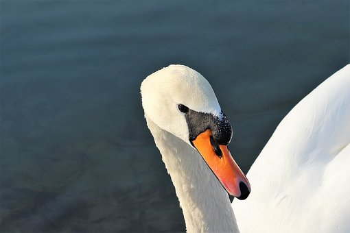 51586