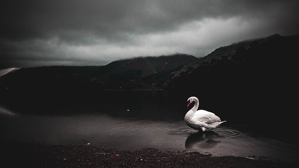 172315