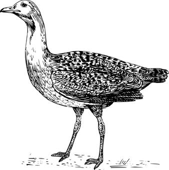293679