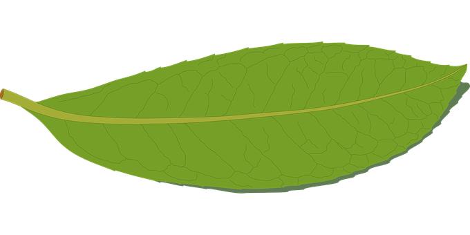 99451