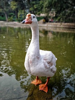 75125