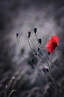 169122