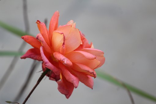 200606