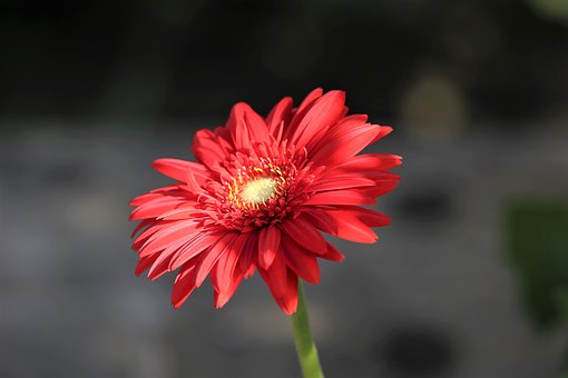 110531