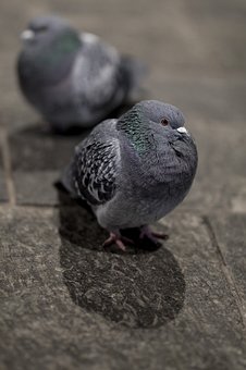 173344