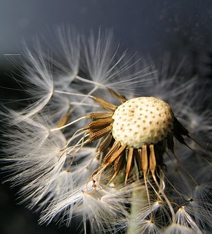 23320