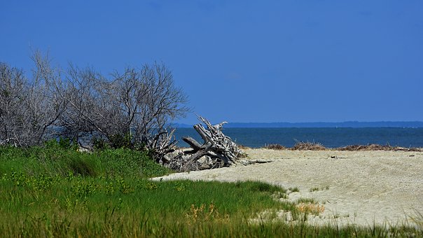 263542