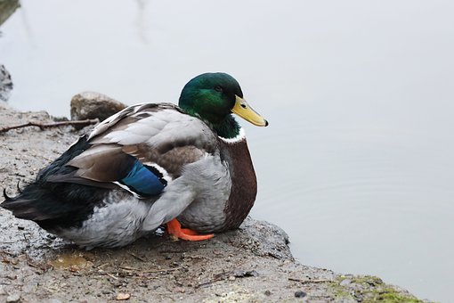 251731