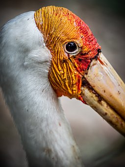 344652
