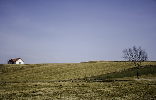 304429