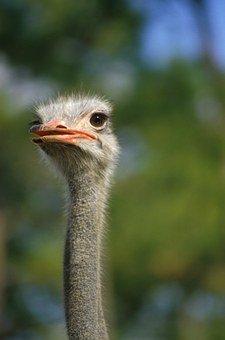 341834