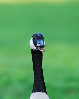 175565