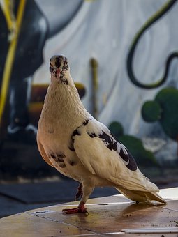 188288