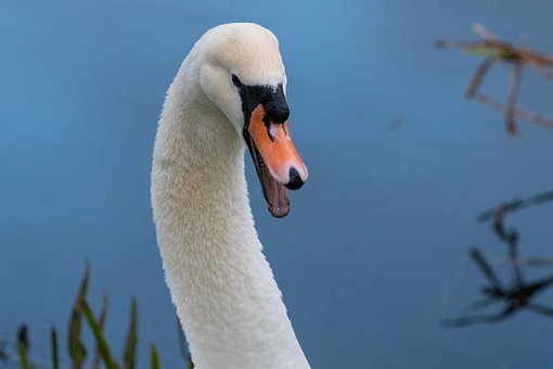 346491