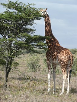 60902