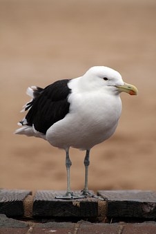 307879