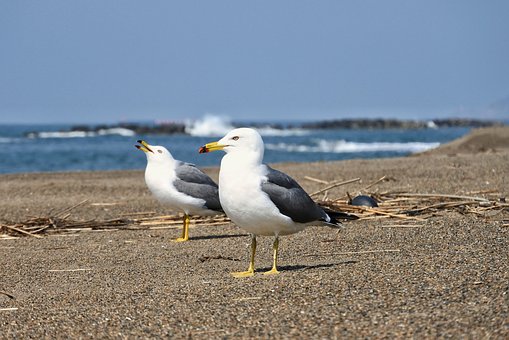166581