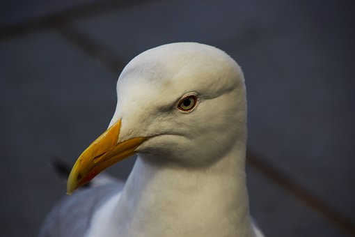 2390