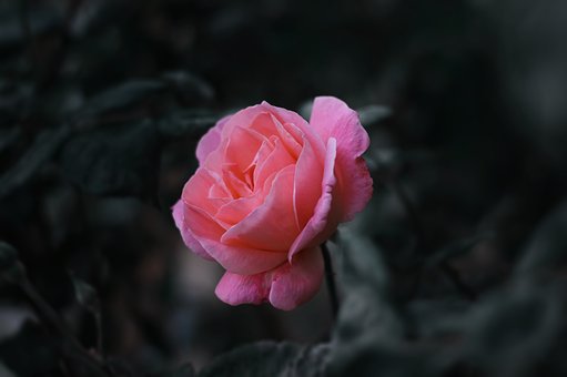 51200