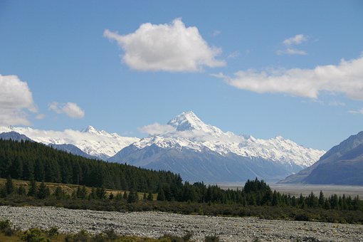 236830