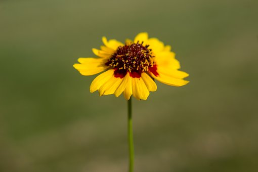 62769