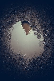 341703