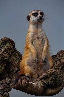 88755