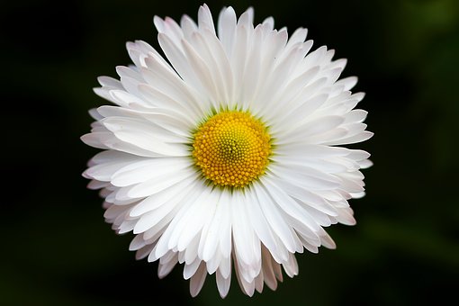 70928