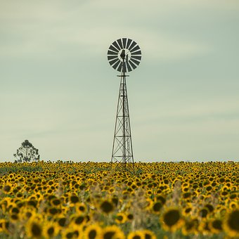 215102