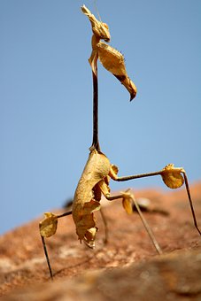 295921