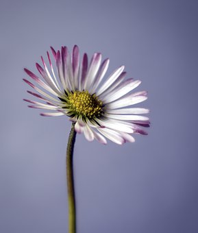 395189