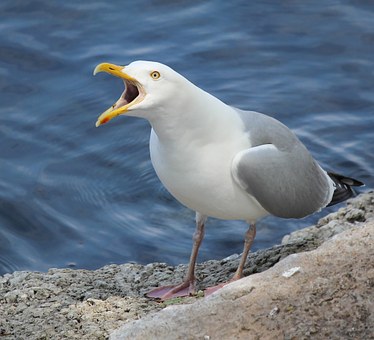 326895