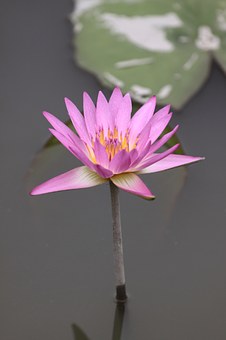 120123