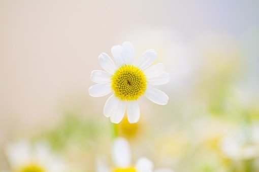 256446