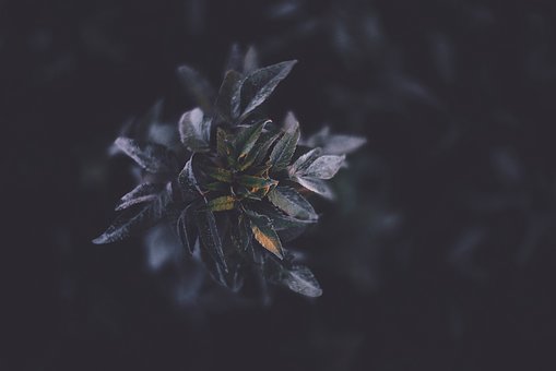 133228