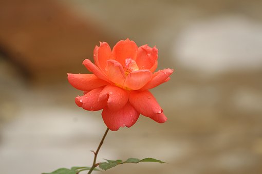 2512
