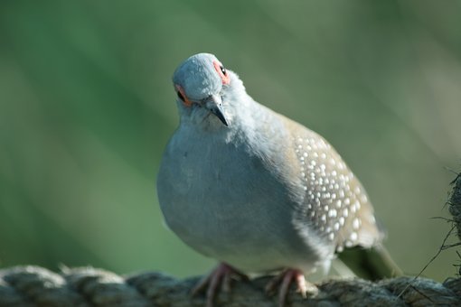 4809