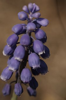 136941