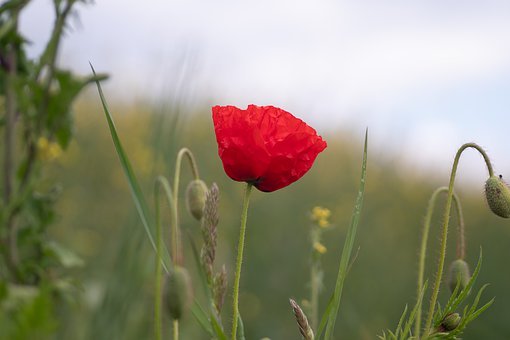 19450