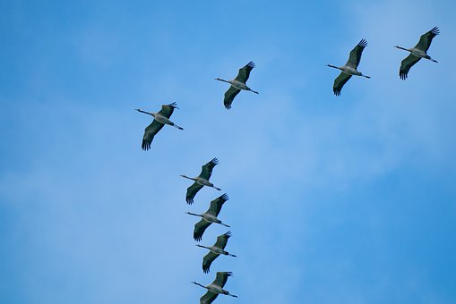 94763
