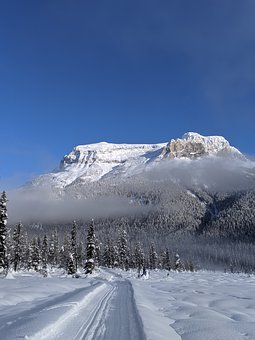 347462