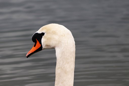 280215