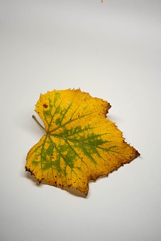 165154