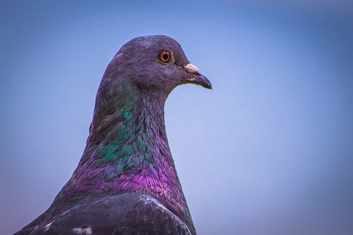 297158