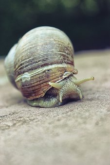 134094