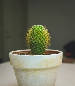 104655