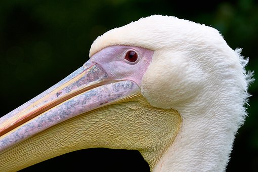 7346