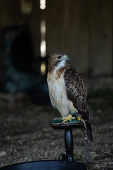 231714